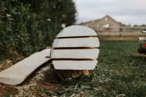 cut wood