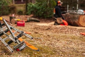 cutting of log